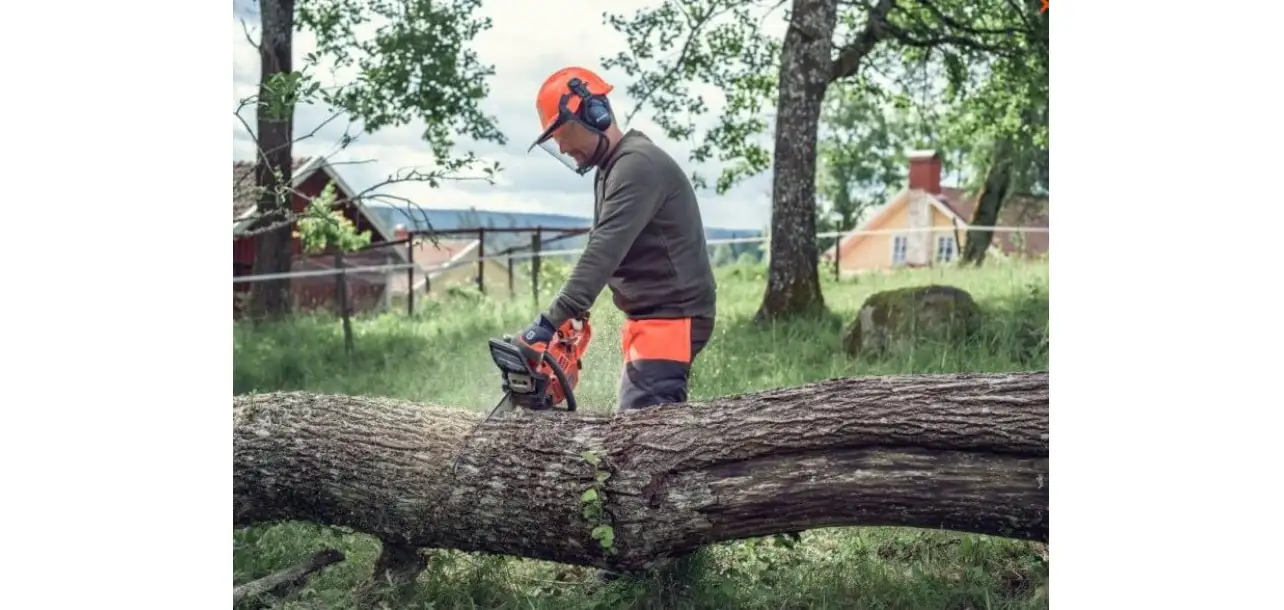 Фотография товара №2