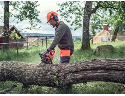 Фотография товара №2