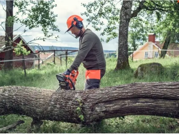 Фотография товара №2