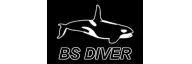 BSDiver