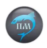 ПИРС МАСТЕР